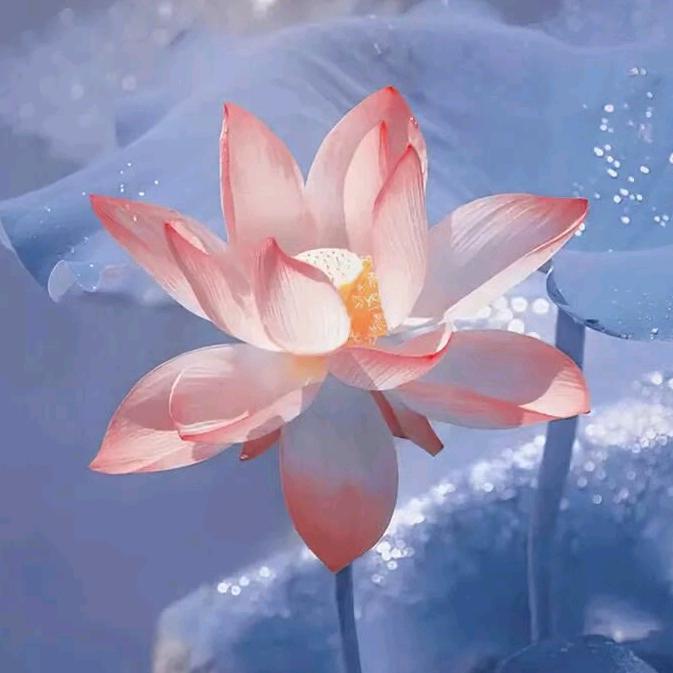 知足常乐。