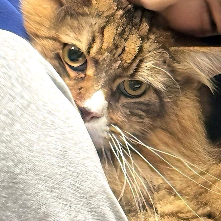 𝙯𝙝𝙖𝙤𝙤𝙤𝙤𝙤.