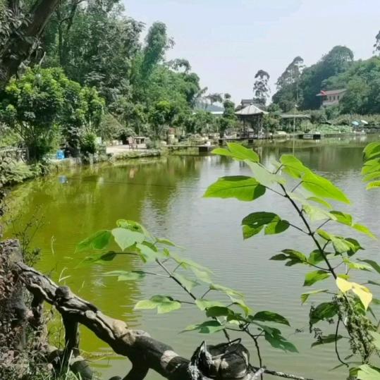 宜宾市叙州区宜分水养殖专业合作社