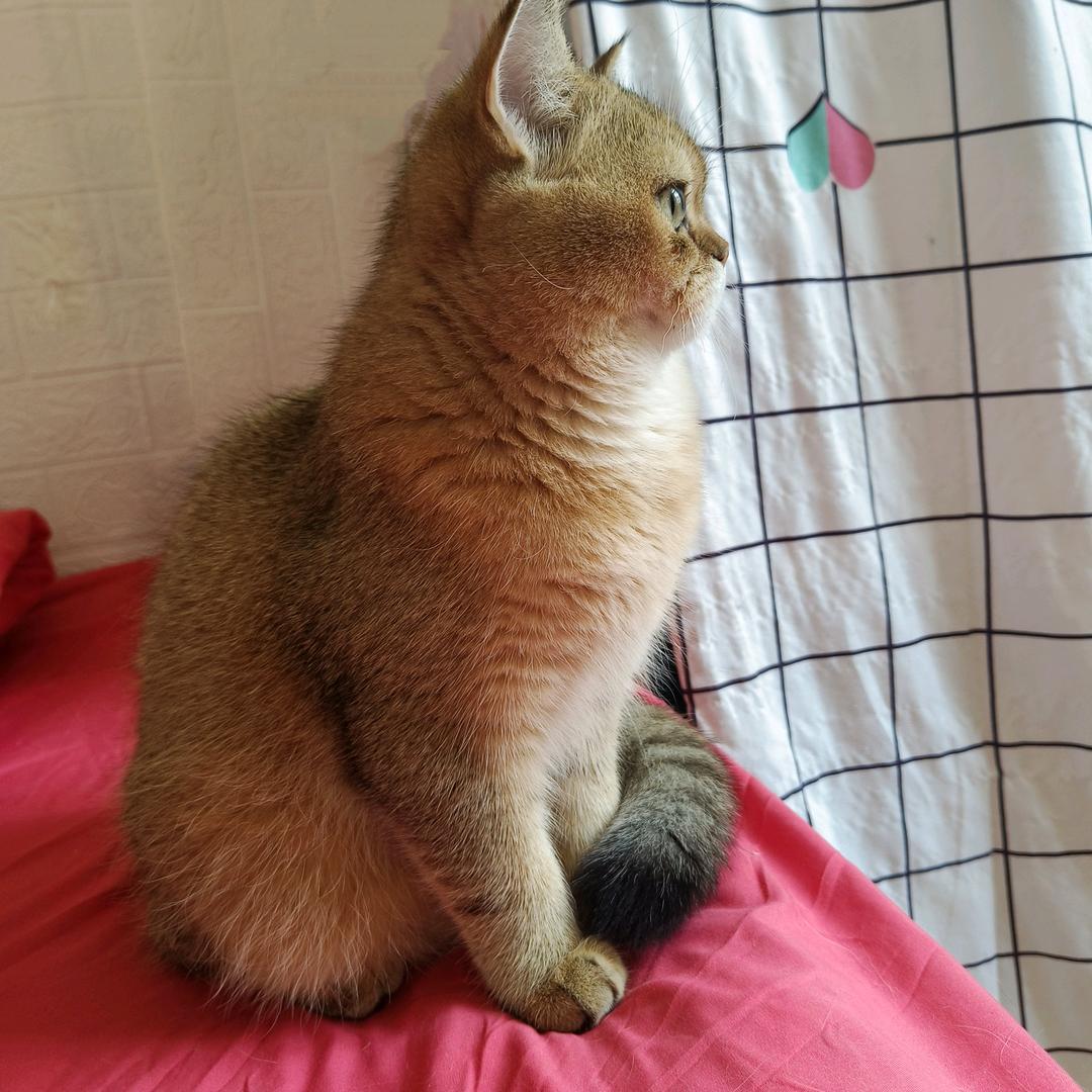 好运加满——（拒绝私聊）