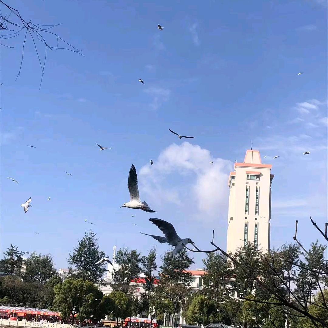 心有万里山河，何惧几分秋凉。