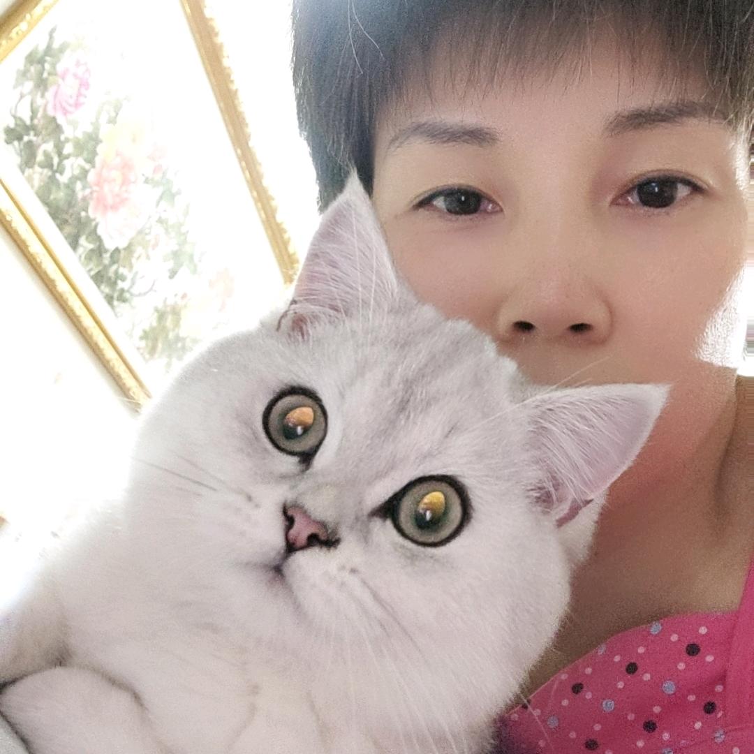 冬阳