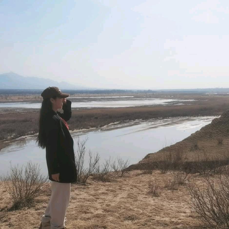 会计实操铺