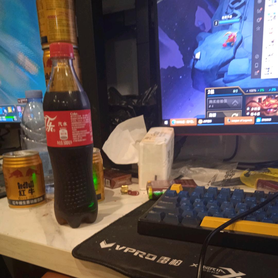 老杨岩雀