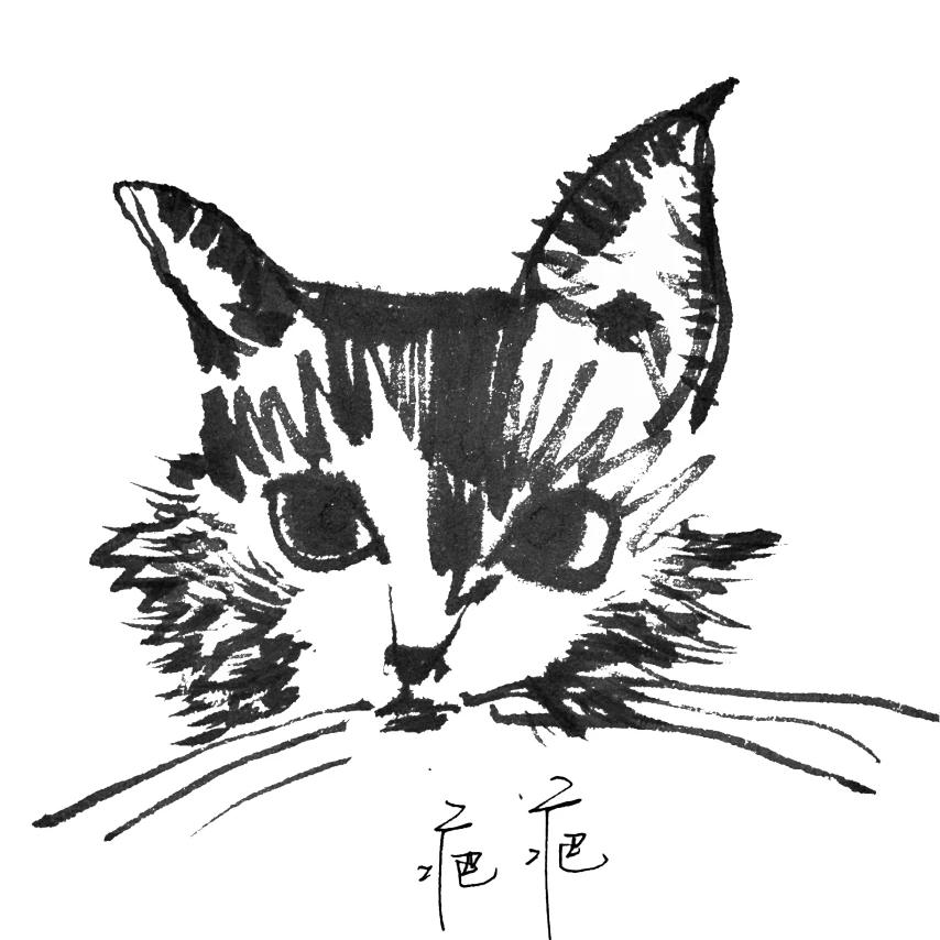木夕