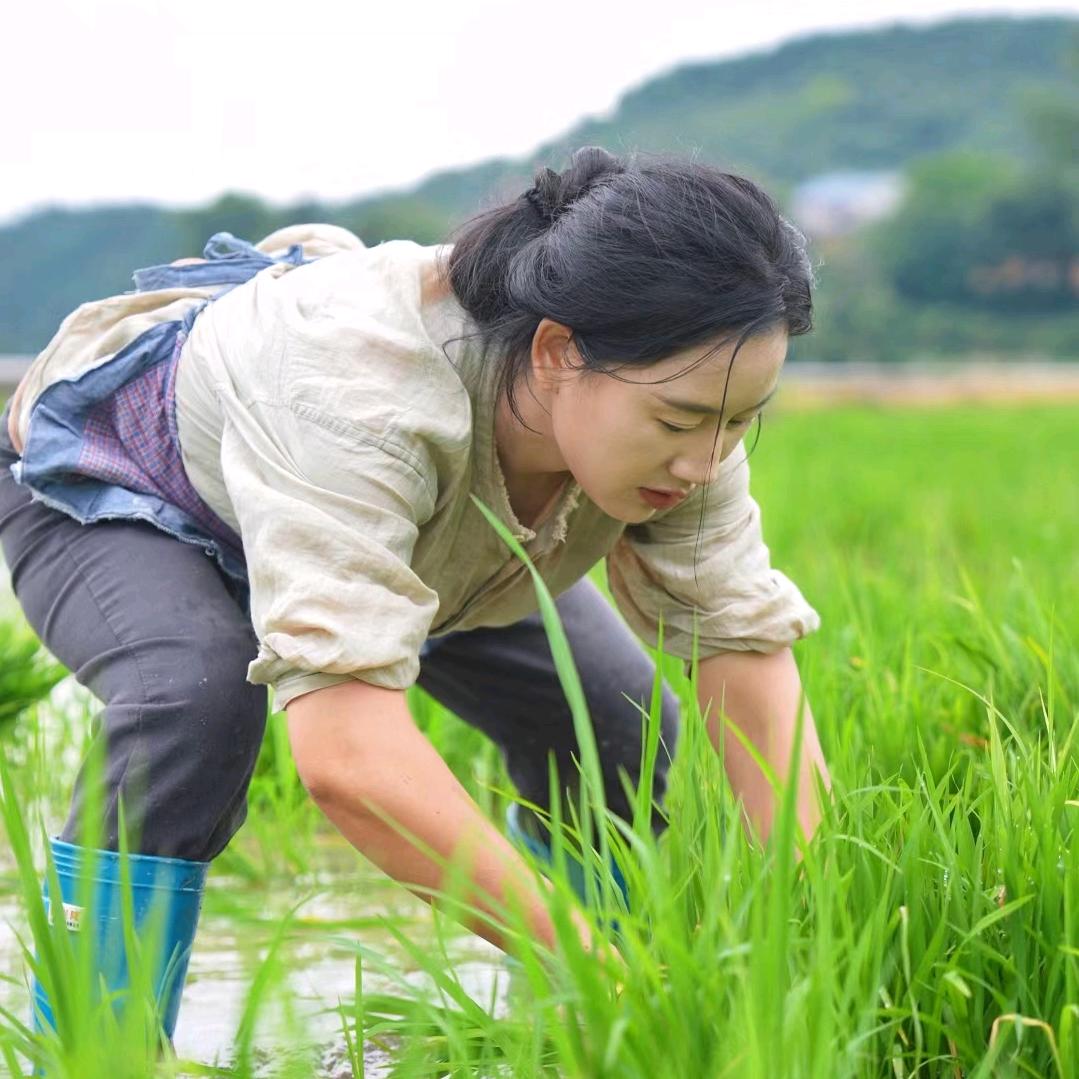 马老师驱鸟研究中心