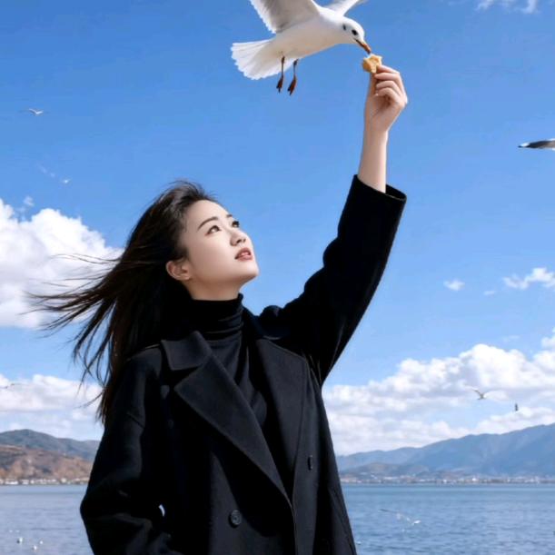 🧚小许琴🧚💔