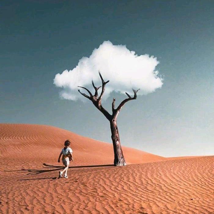 魏大壮与葛二蛋