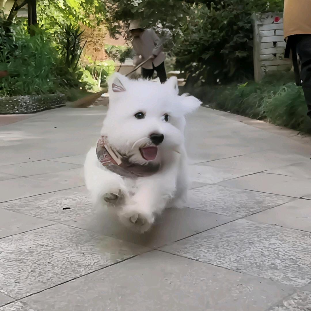 被取名难倒