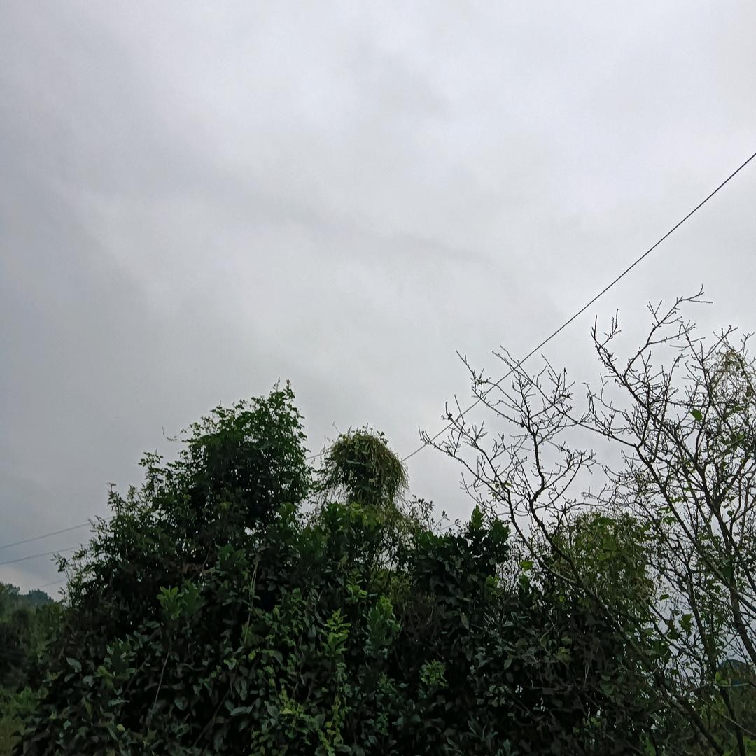 天天开心，开心每一天