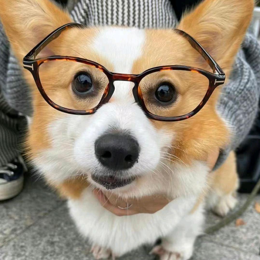 孟祥成