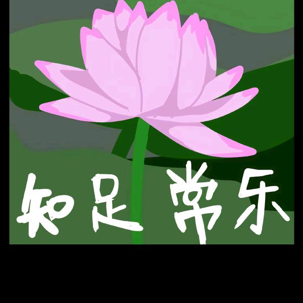 玲玲姐