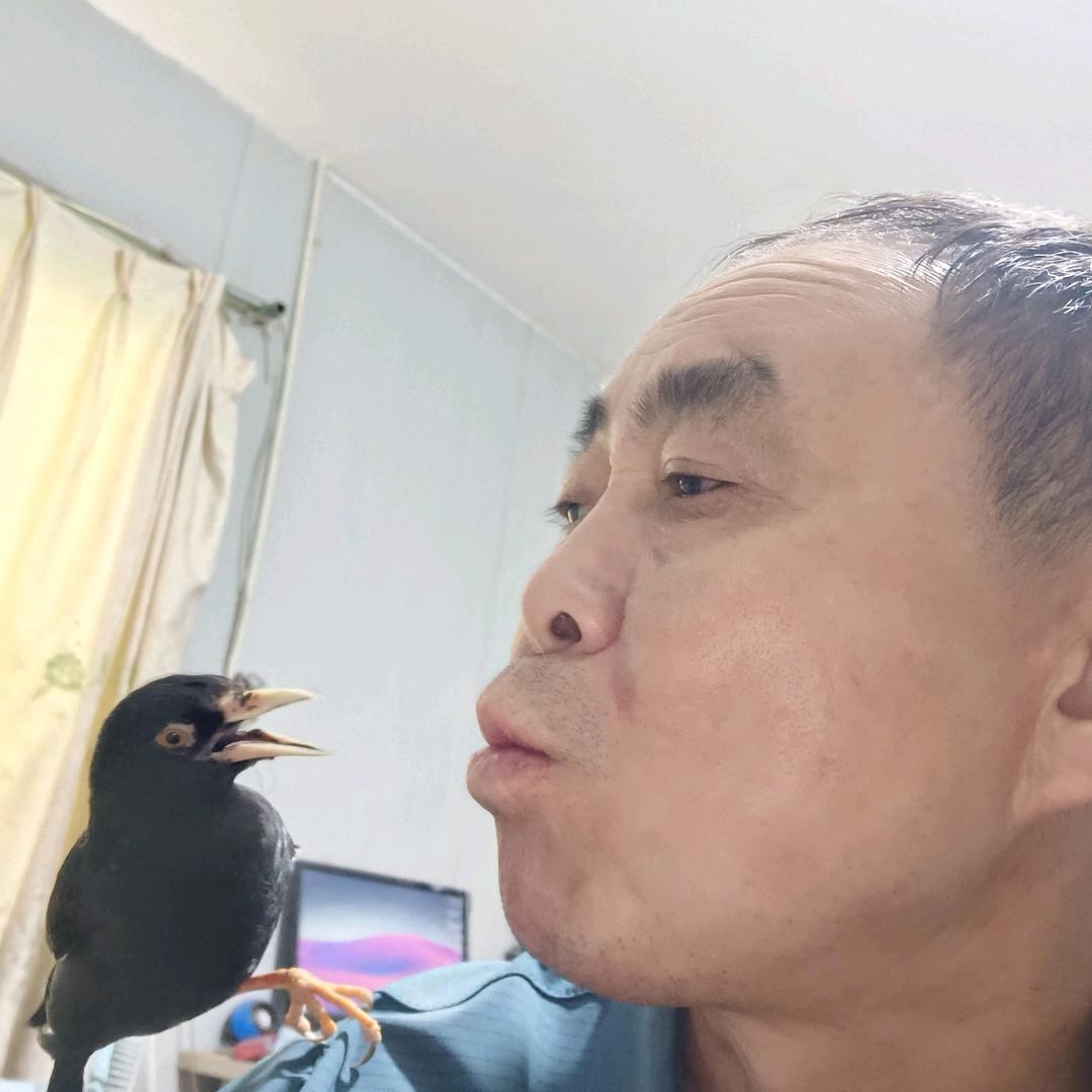 开心老人