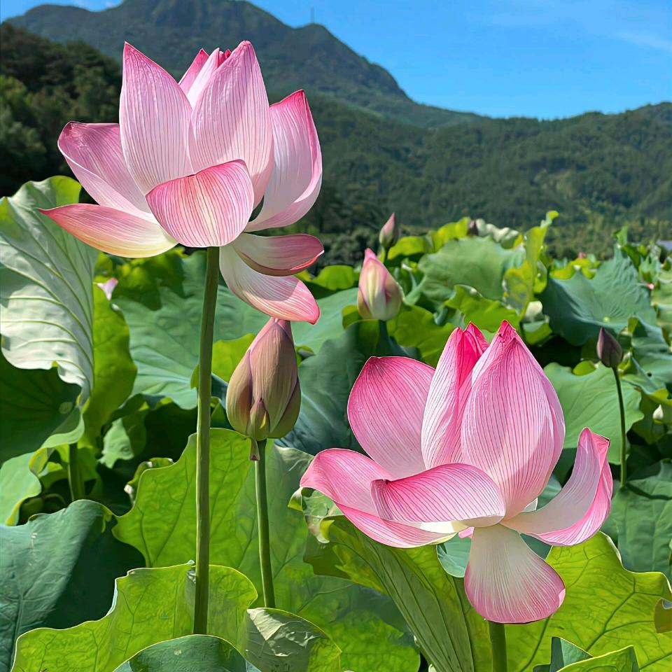 红花岗区小潘百货店