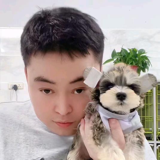 二毛的