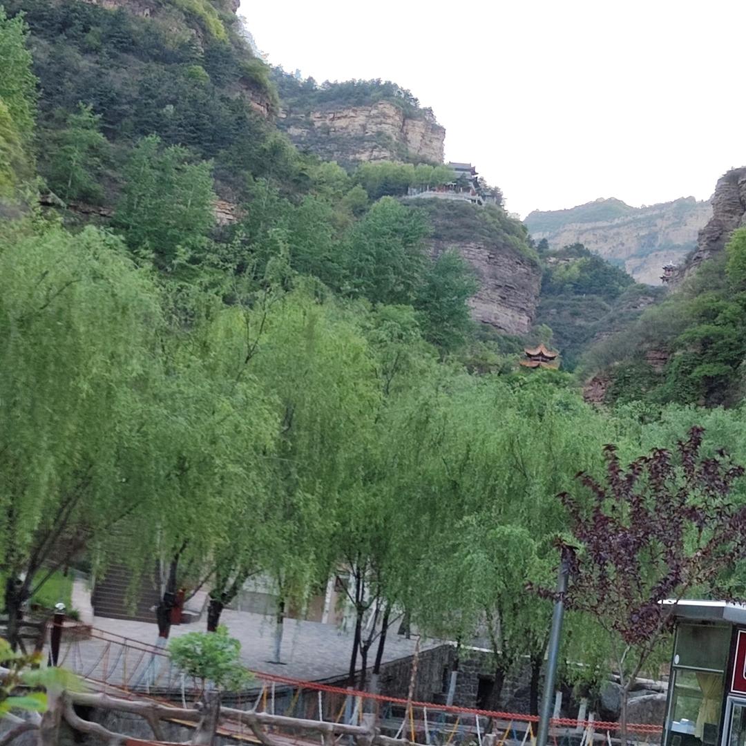 @李子