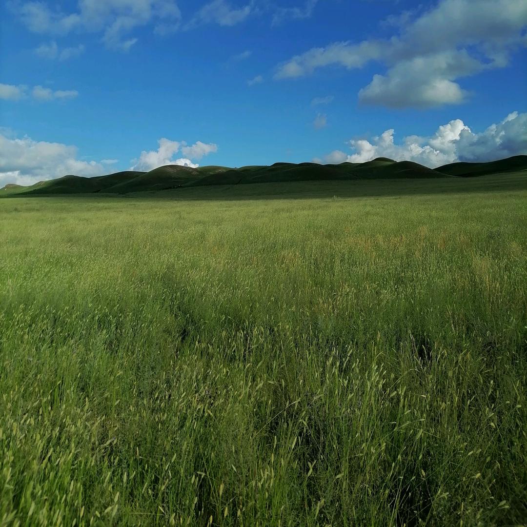 大名四十二岁的流浪者