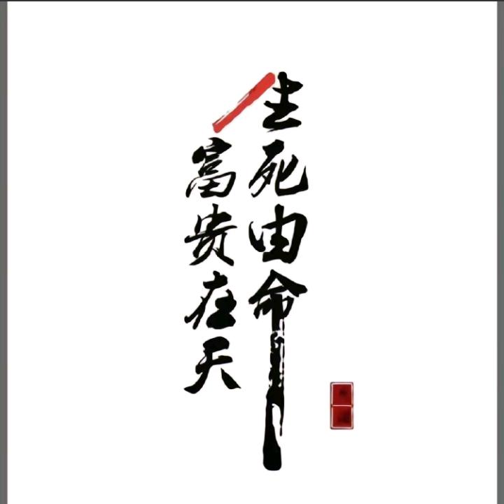 青云志🔥🔥🔥