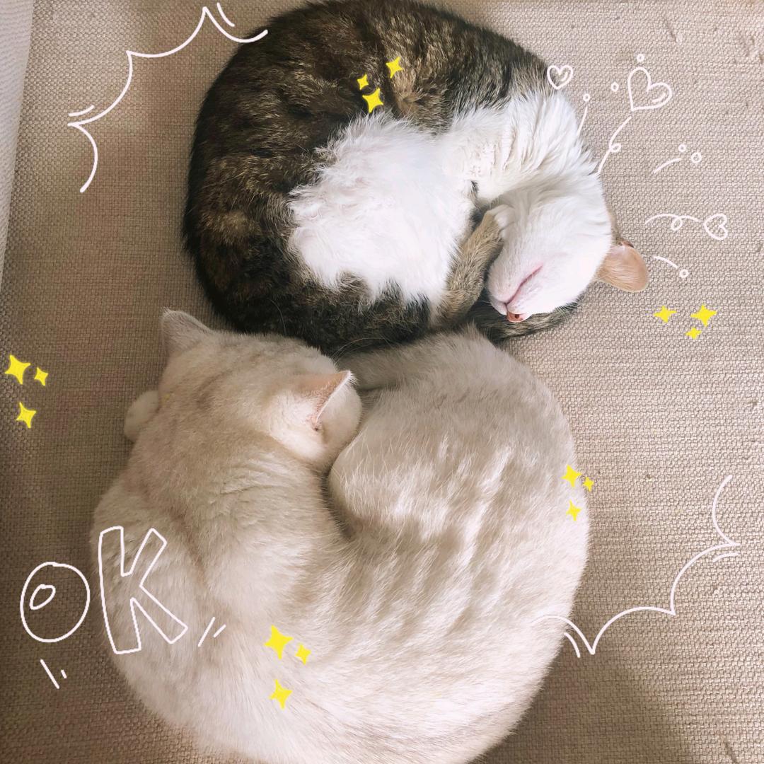 艳师傅家甜品小铺