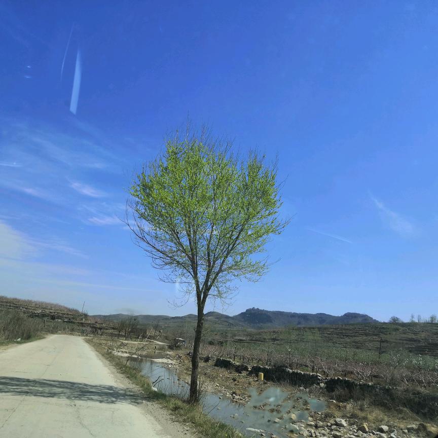 李氏清风堂张老师