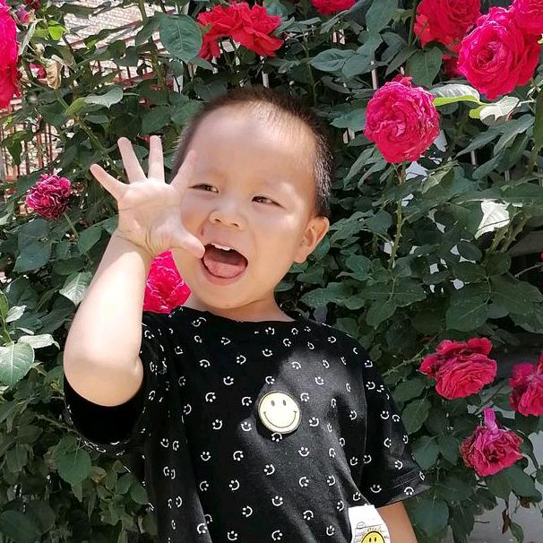 一个人的自由