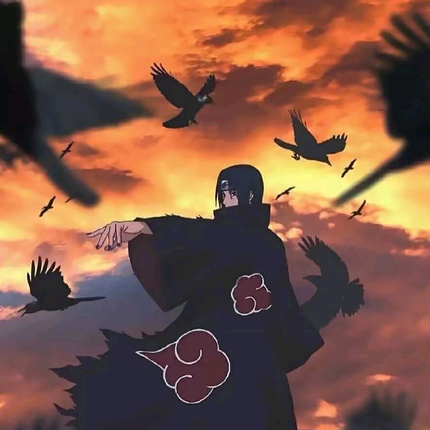 ……