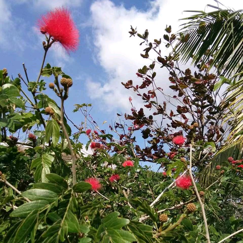 生活真的有点甜