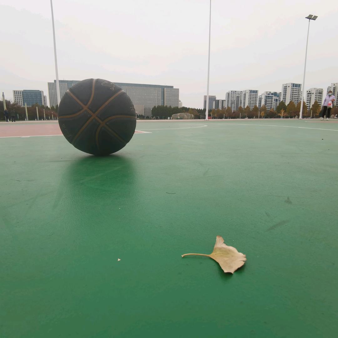 农业菜鸟