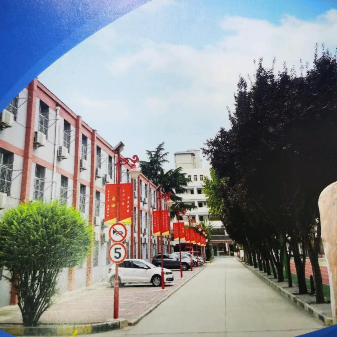 西安正大陈老师