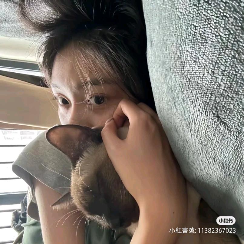 小鱼儿快游
