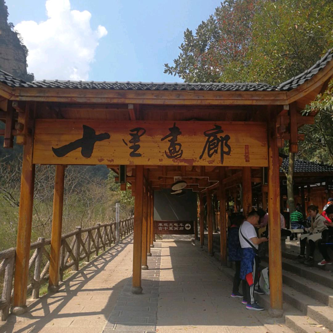 中原庄稼汉东哥