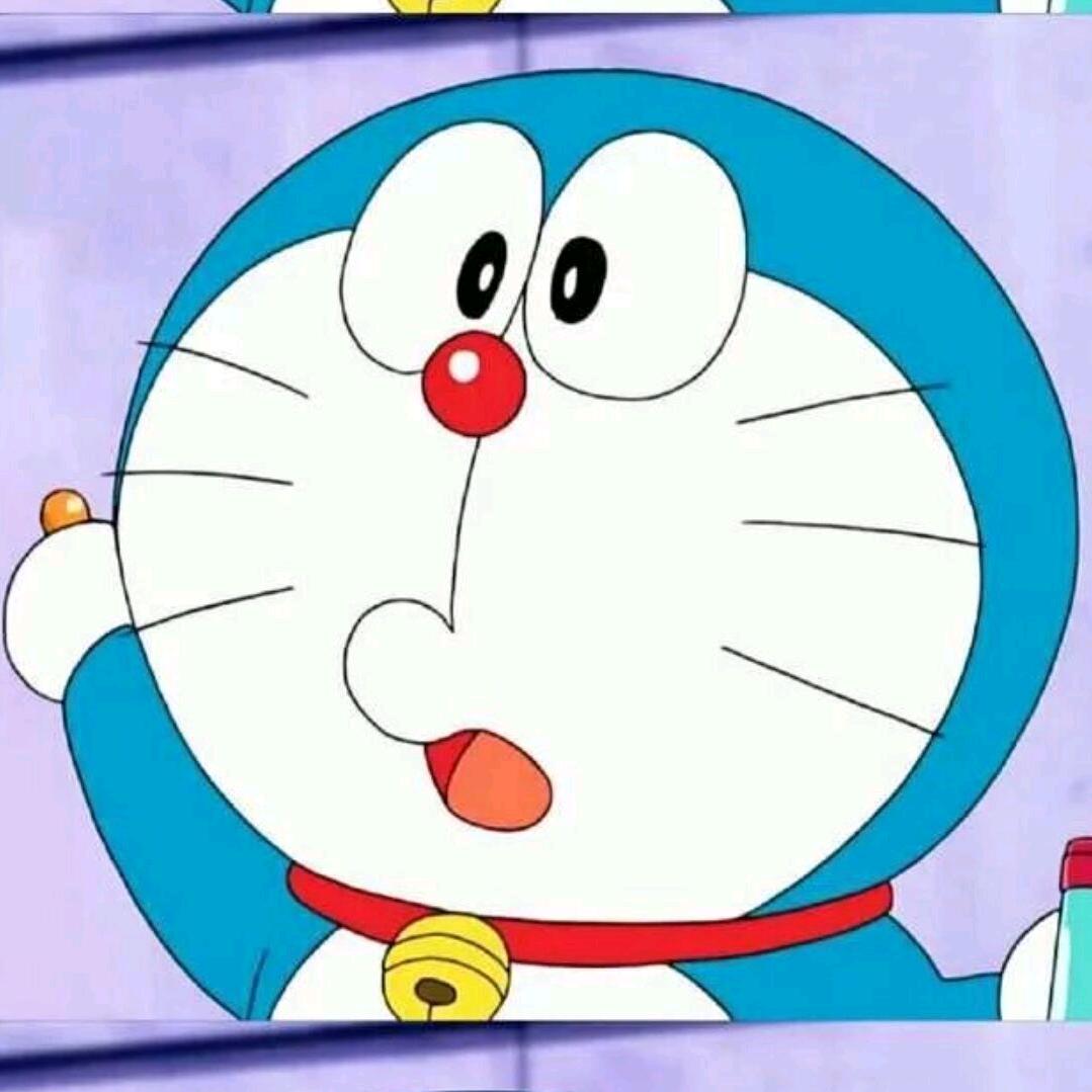抱走你の猫  🚶‍♂️