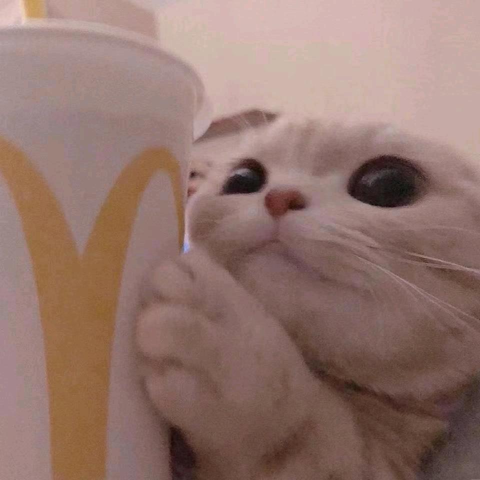 憨憨
