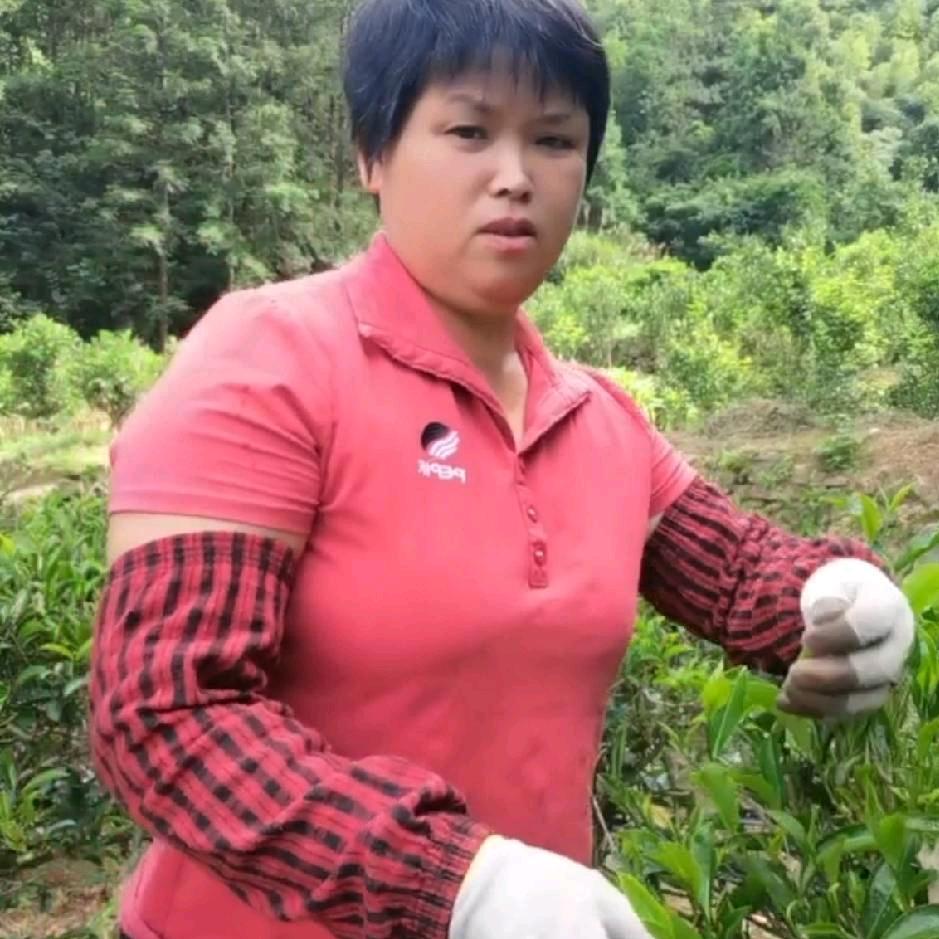 开心香姨(只做生态)