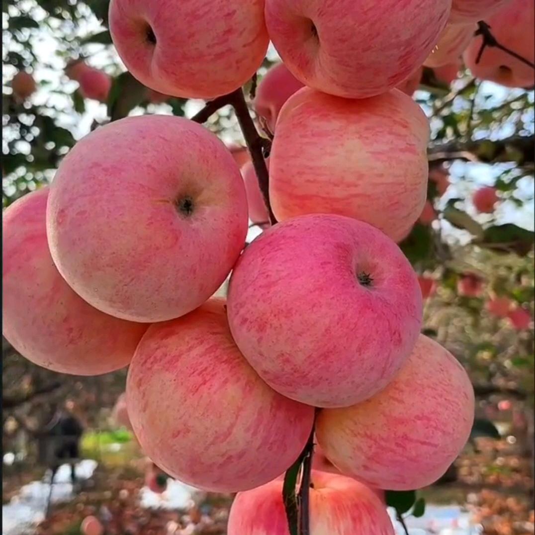 ໑ຼₒ₂₅多财多亿ღ᭄²⁰²⁵