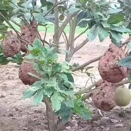 小陈爱户外