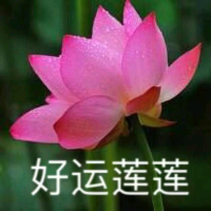 JXH