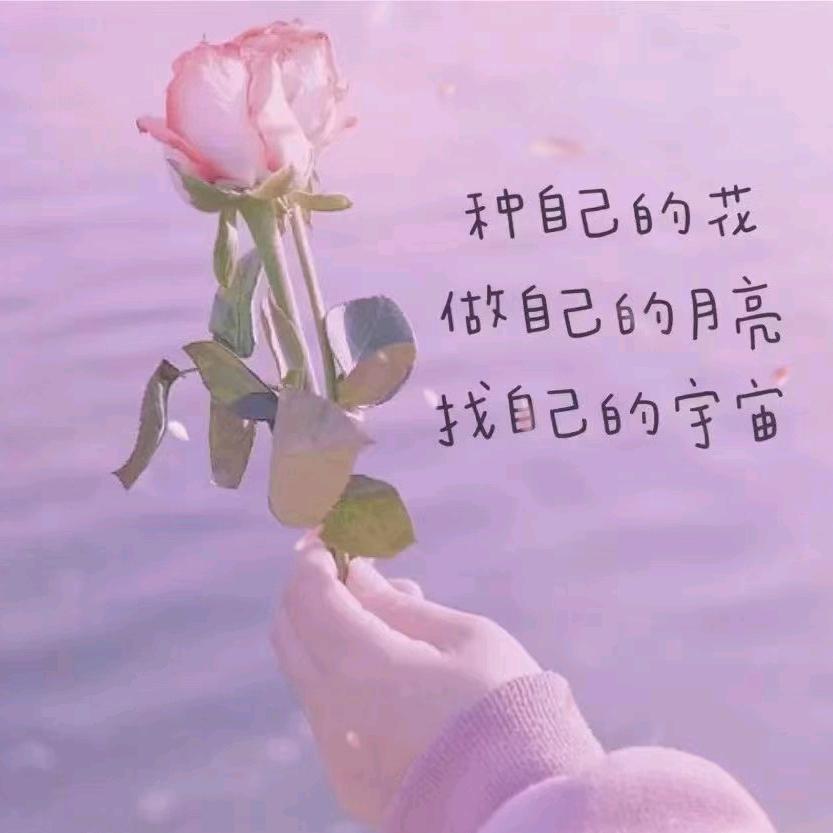 安国中药材——吕沙