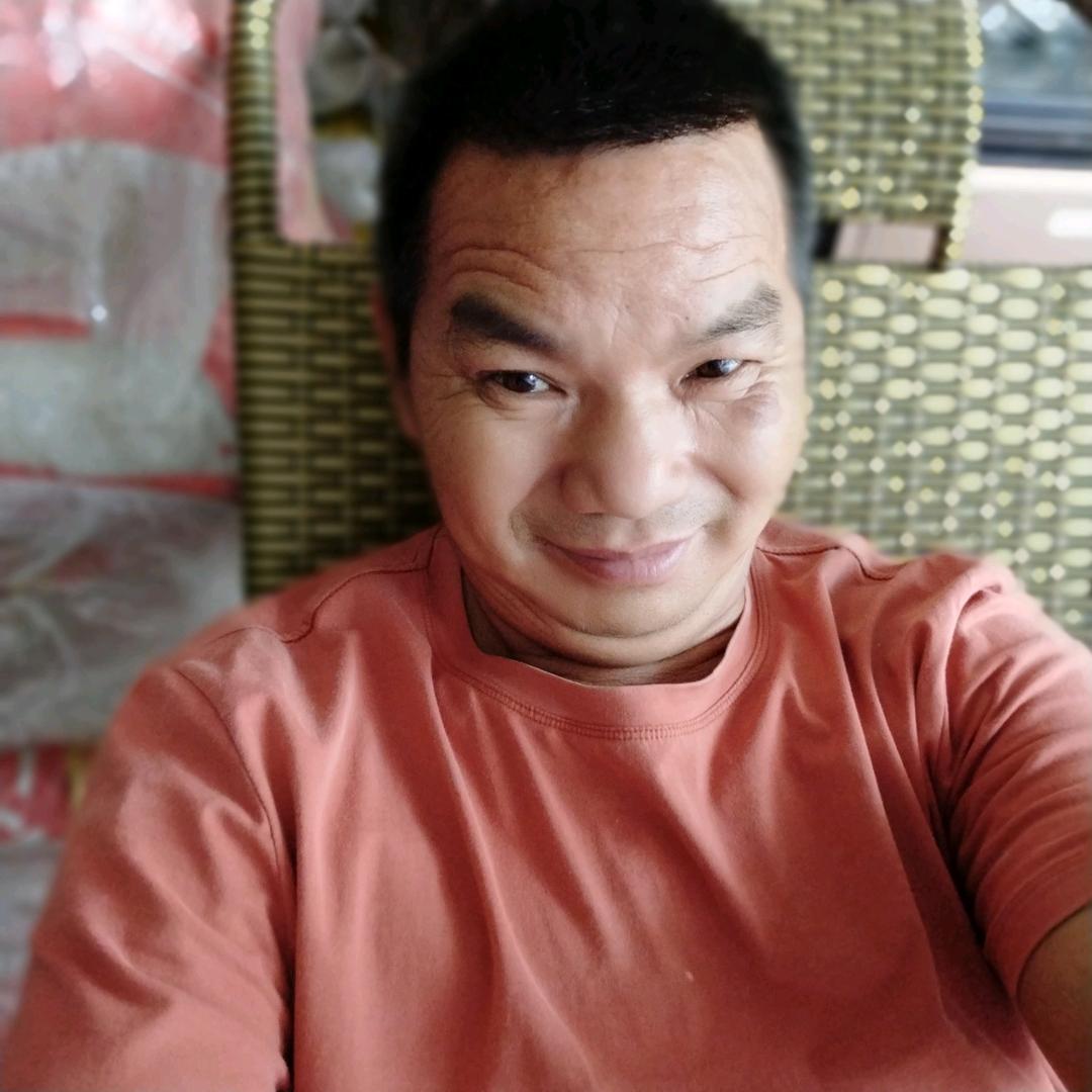 小马歌