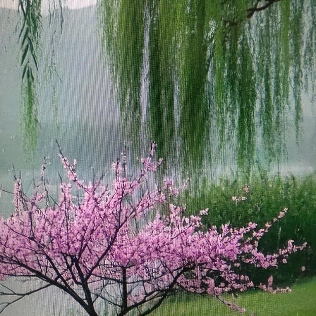 随心而推