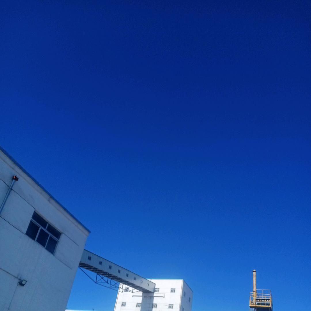 饺子熟了