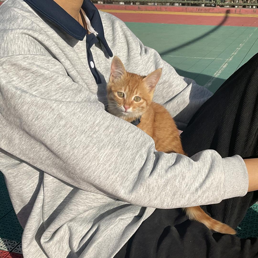 心中后浪似启程