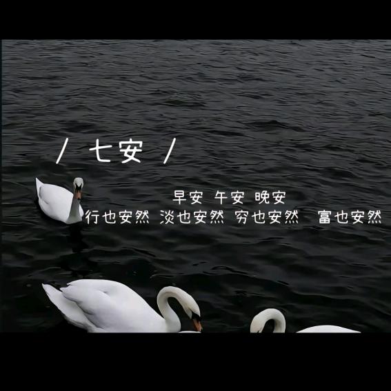 ｛七安｝