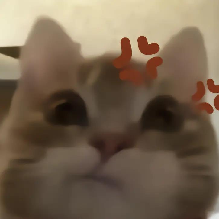 纯净水c