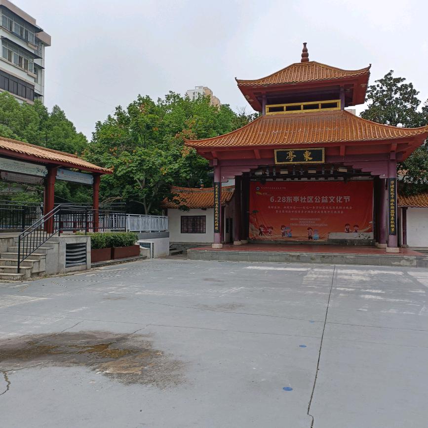 本是清灯不来客