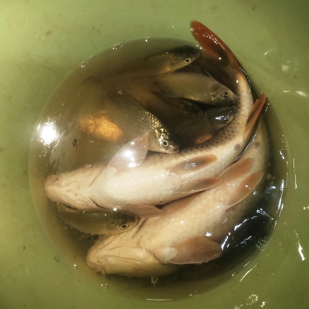 留在烟火里的尘埃