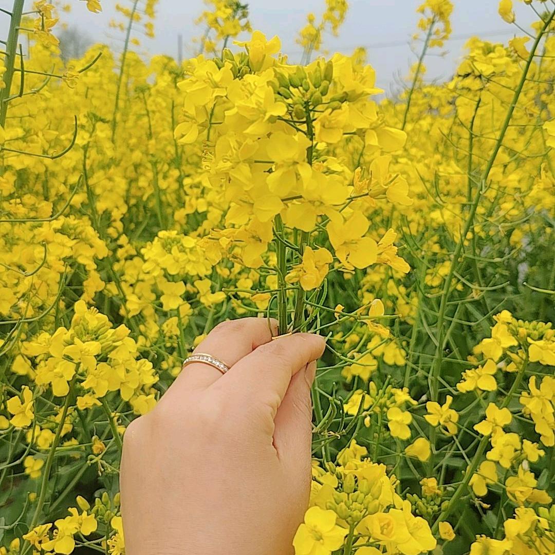 ☘️小云朵🌈