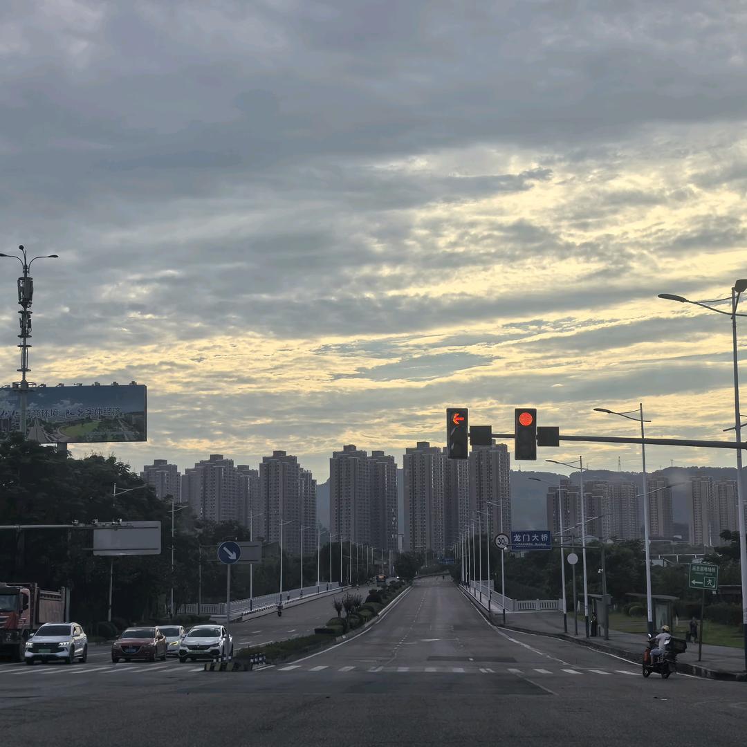 尘世中的迷途小薤白🎣