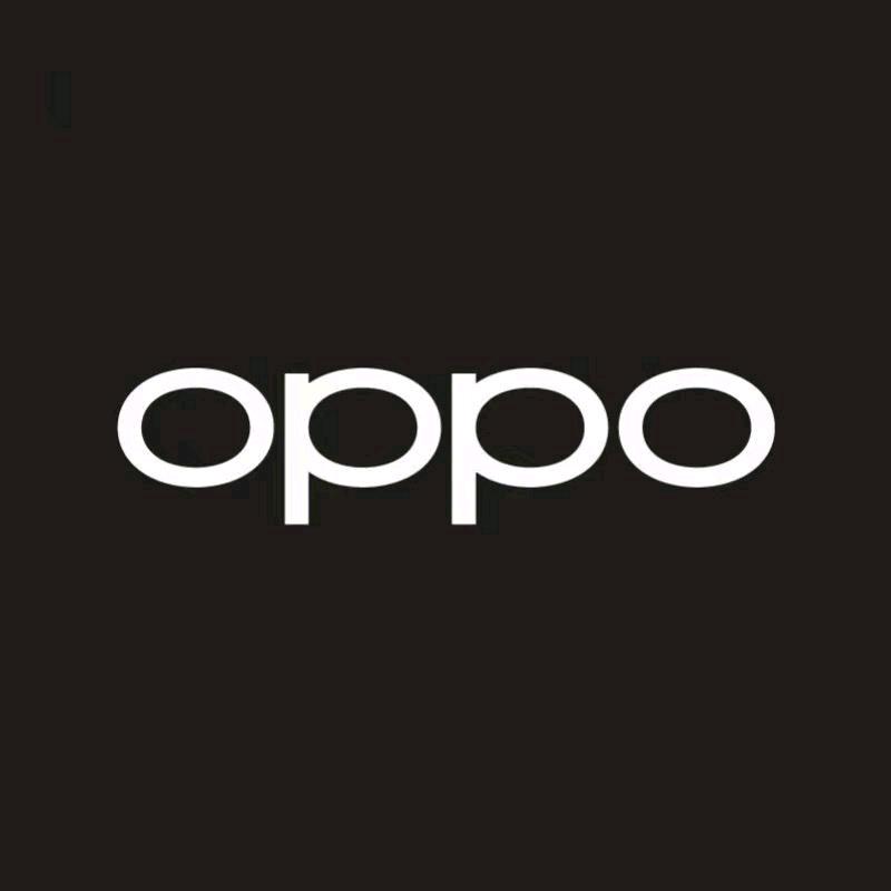 OPPO 体验店（邵东百富路店）