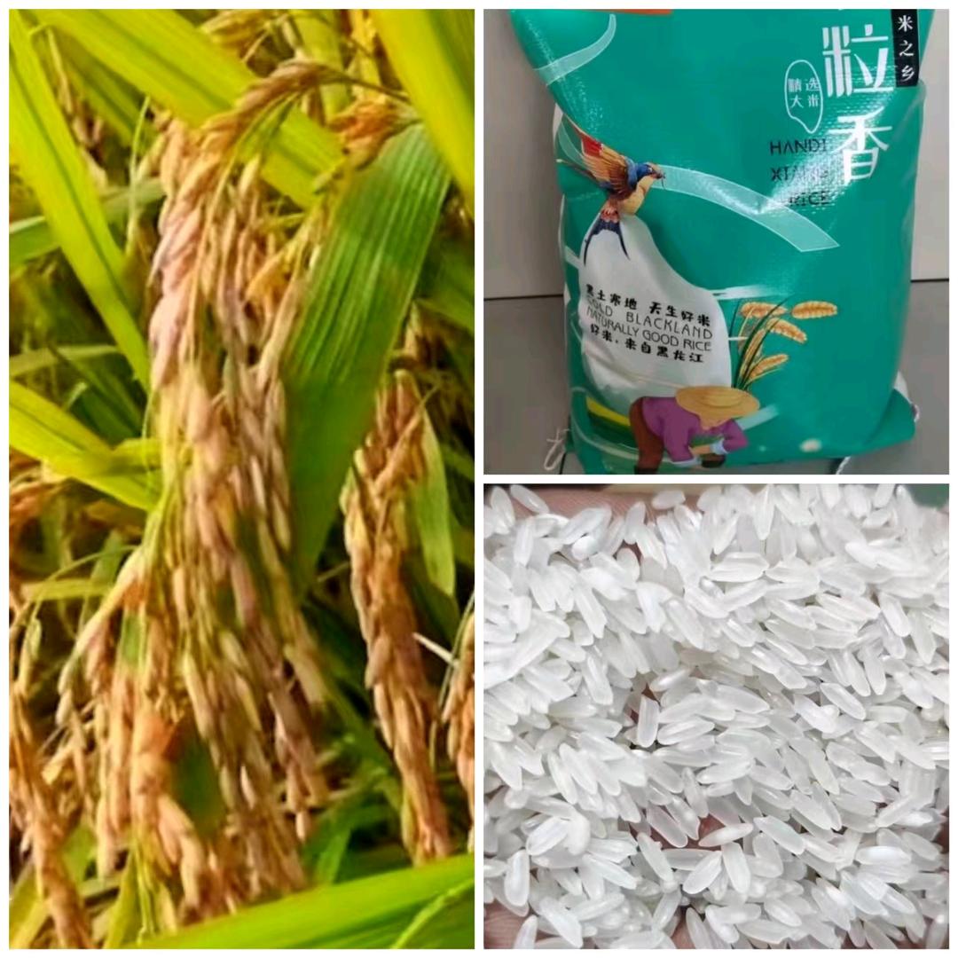 🌾✨米✨运✨亨✨通🌾